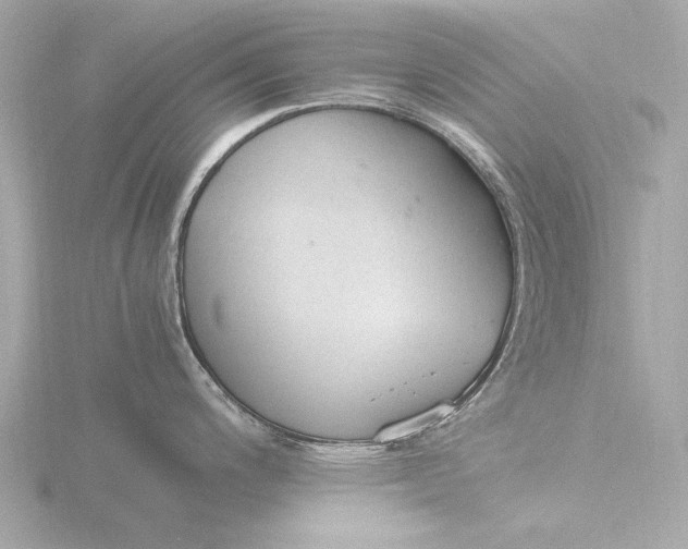 X0000116391200200912231103