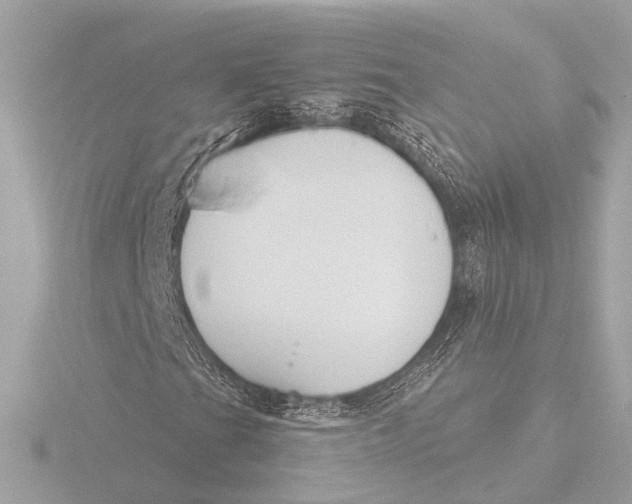 X0000116391201200912231102