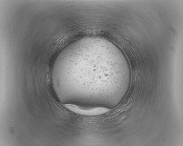 X0000116391202200912231102