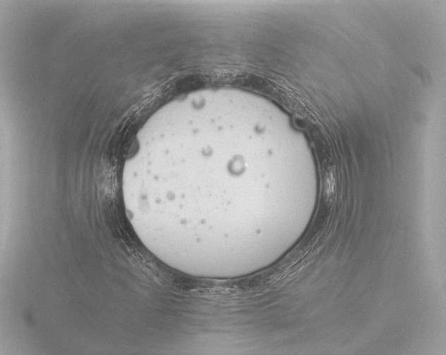 X0000116391204200912231102