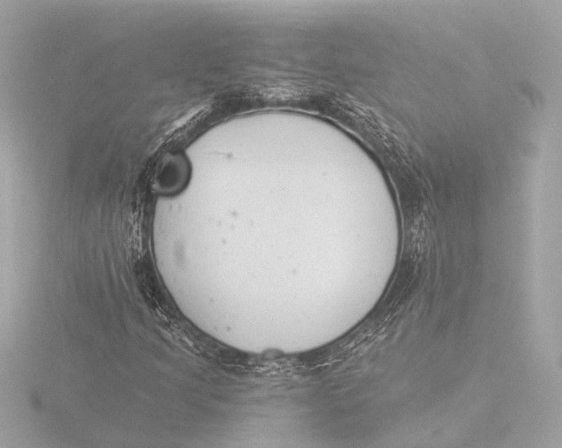 X0000116391205200912231103