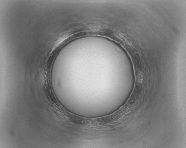 X0000116391208200912231103