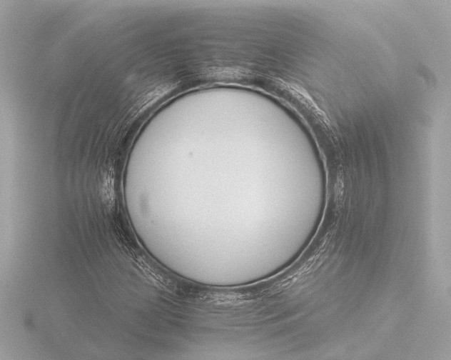 X0000116391209200912231103