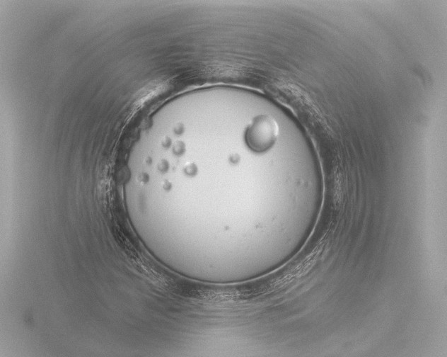 X0000116391210200912231103