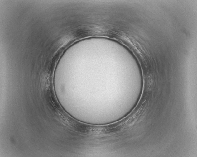 X0000116391211200912231103