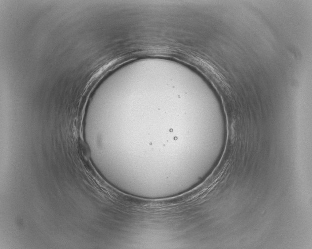 X0000116391212200912231103