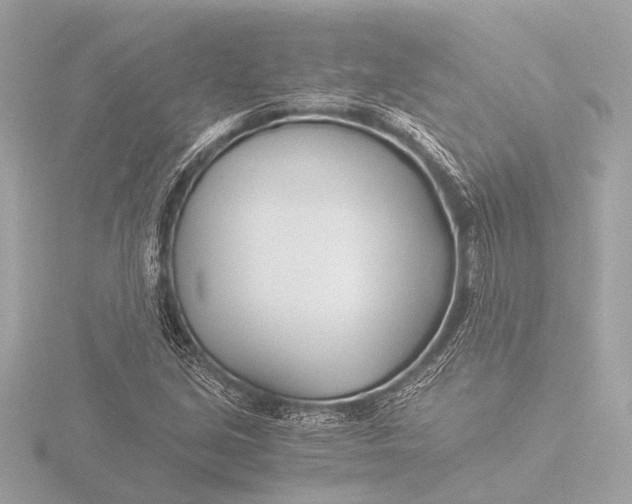 X0000116391213200912231103