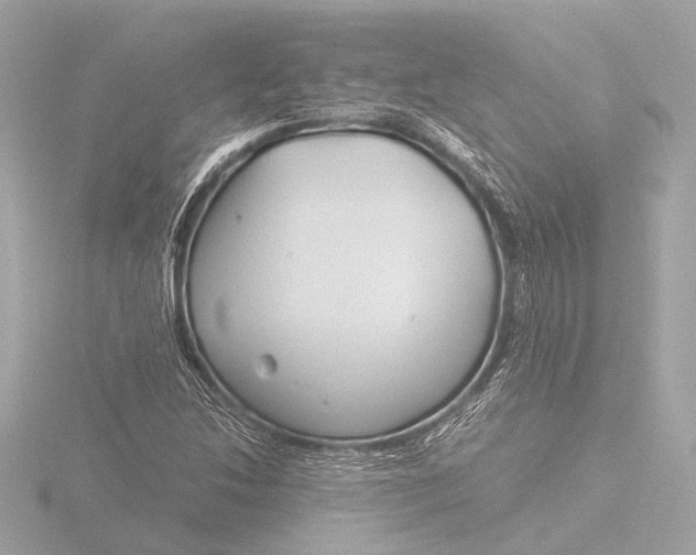 X0000116391214200912231103