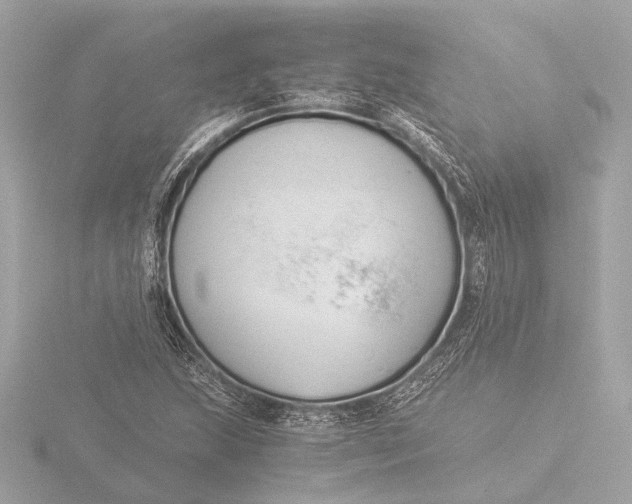 X0000116391215200912231103