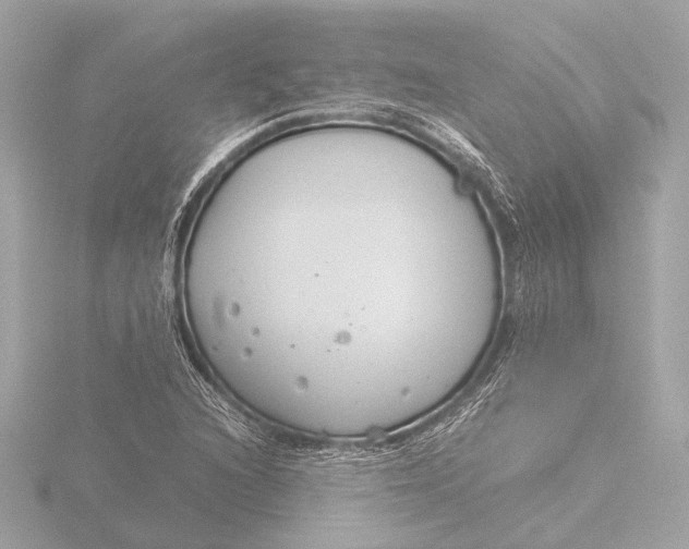 X0000116391216200912231103