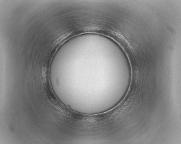 X0000116391217200912231103