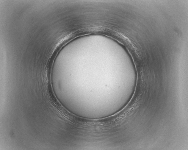 X0000116391218200912231103