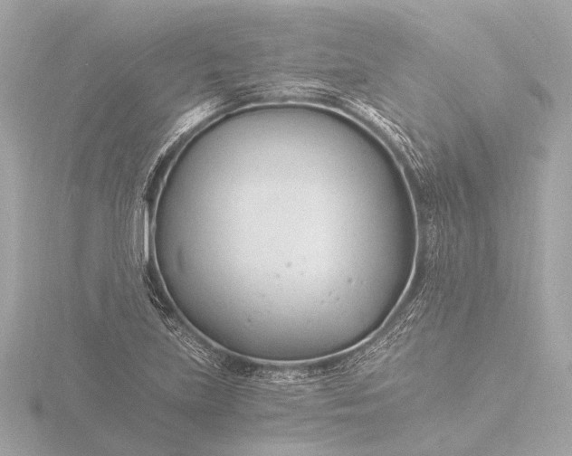 X0000116391219200912231103