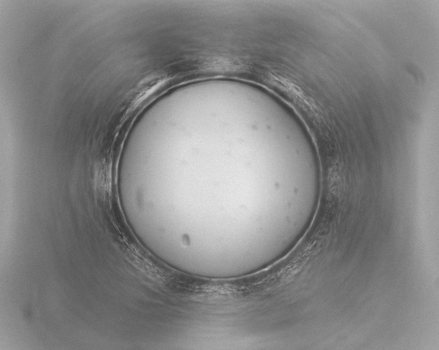 X0000116391220200912231103