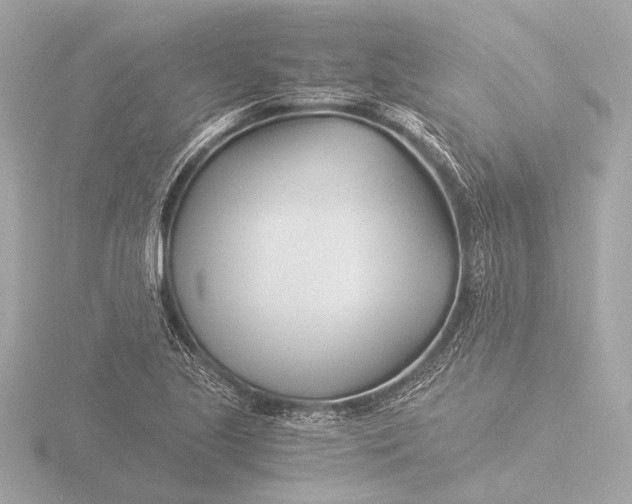 X0000116391221200912231103