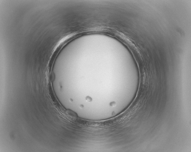 X0000116391222200912231103