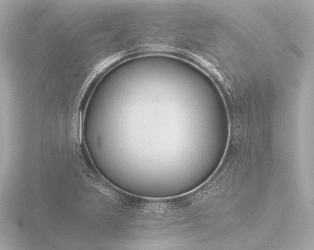 X0000116391223200912231103