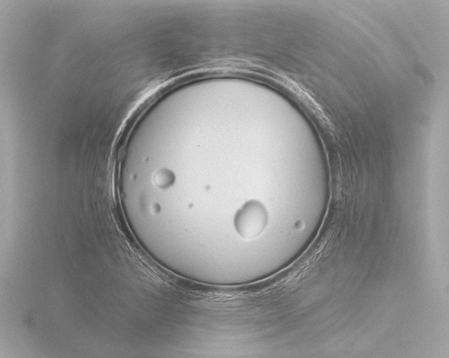 X0000116391224200912231103