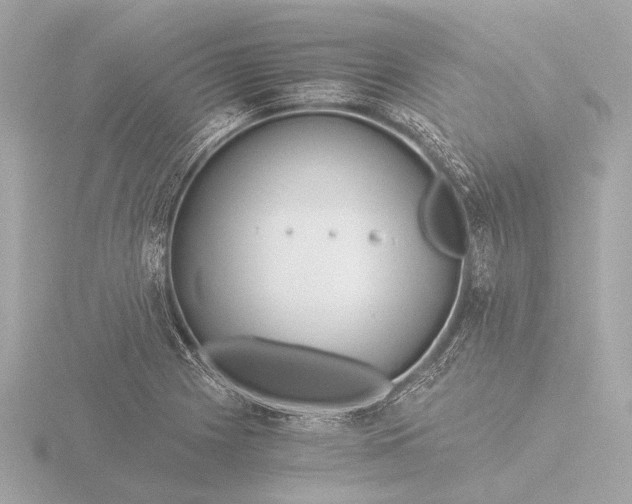 X0000116391225200912231103