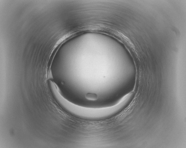 X0000116391226200912231103