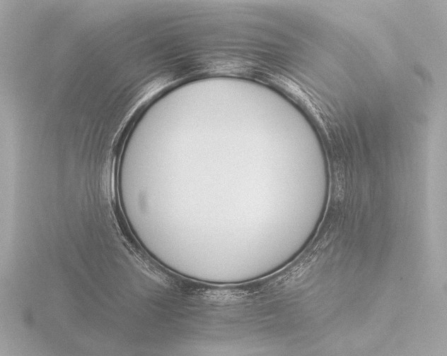 X0000116391227200912231103