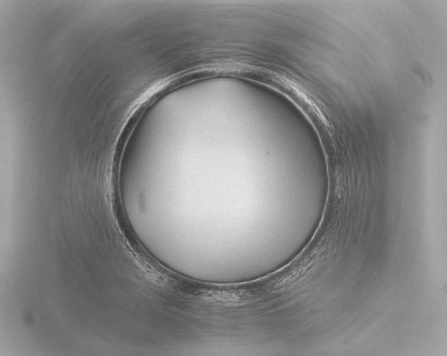 X0000116391229200912231103