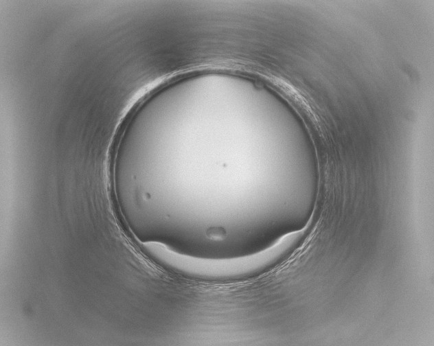 X0000116391230200912231103