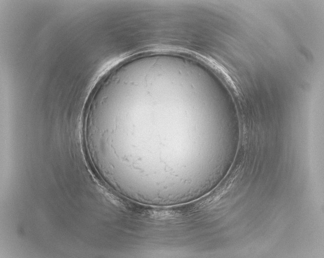 X0000116391231200912231103