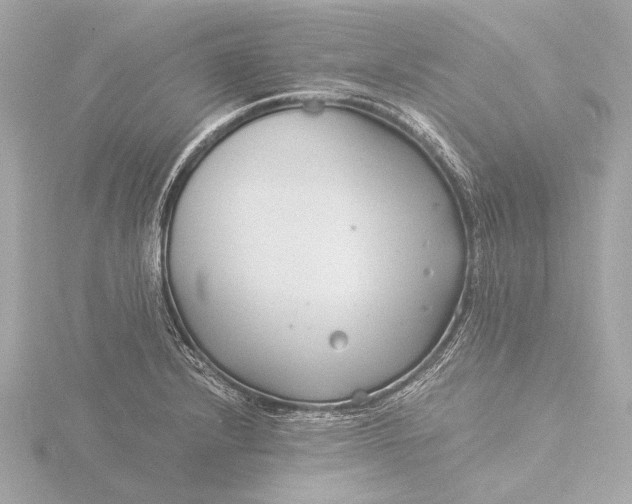 X0000116391232200912231103