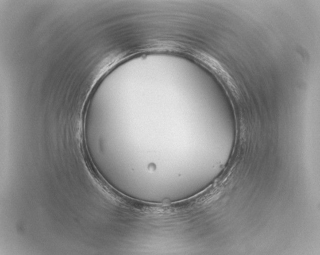 X0000116391234200912231103