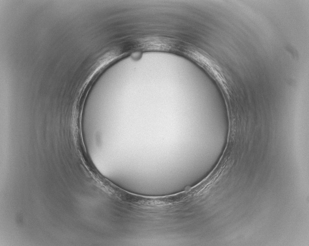 X0000116391235200912231103