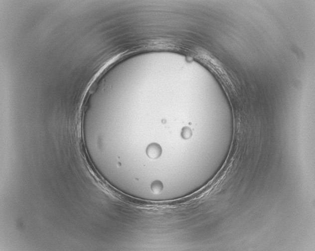 X0000116391236200912231103