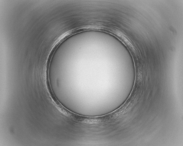 X0000116391237200912231103