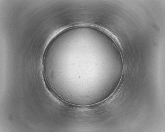 X0000116391239200912231103