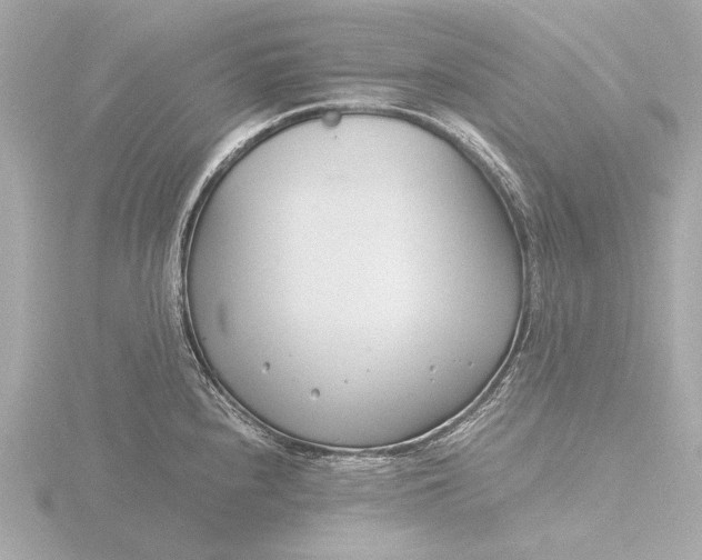 X0000116391240200912231103