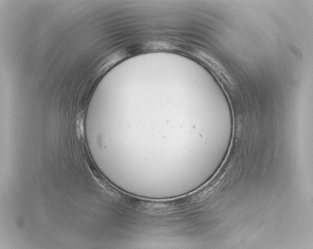 X0000116391241200912231103