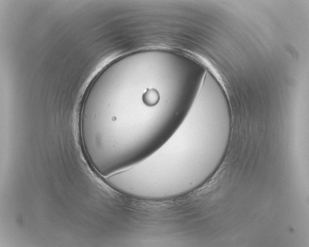 X0000116391243200912231103