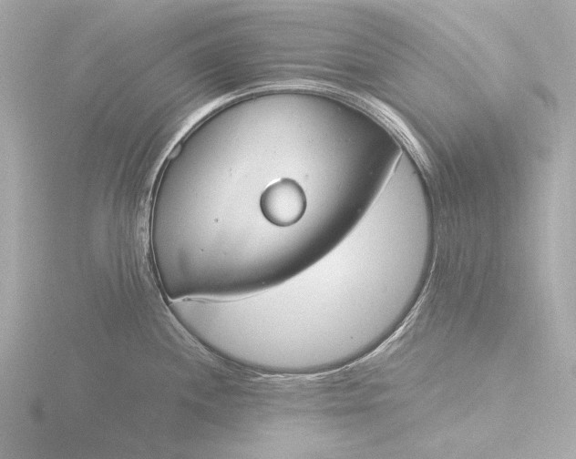 X0000116391244200912231103