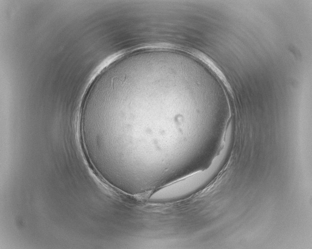 X0000116391245200912231103