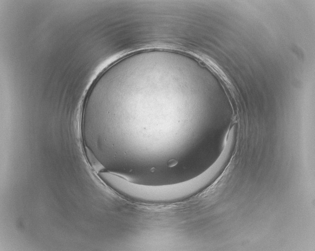 X0000116391246200912231103