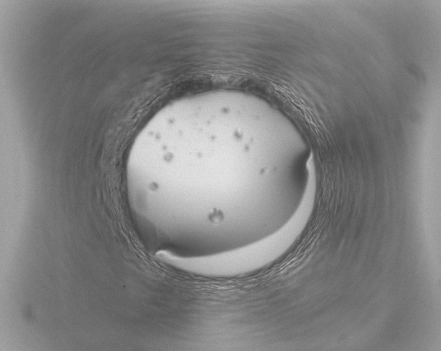 X0000116391249200912231102