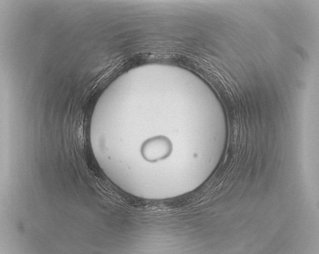 X0000116391250200912231102