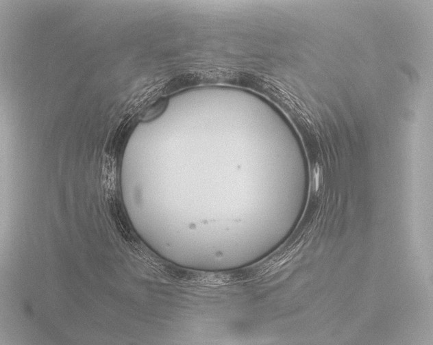 X0000116391251200912231102