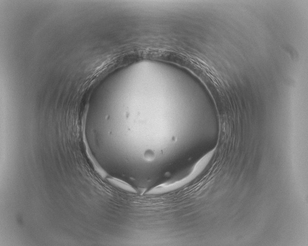 X0000116391252200912231102