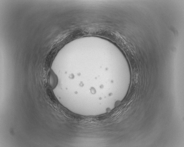 X0000116391253200912231102