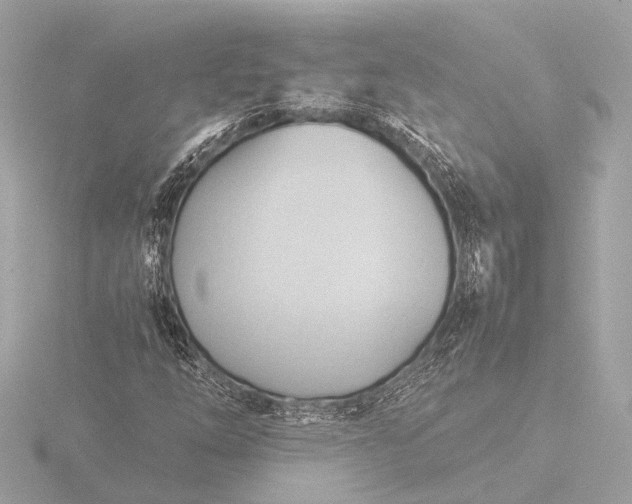 X0000116391254200912231102