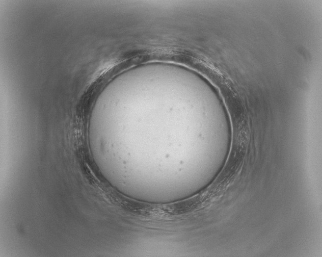 X0000116391255200912231102