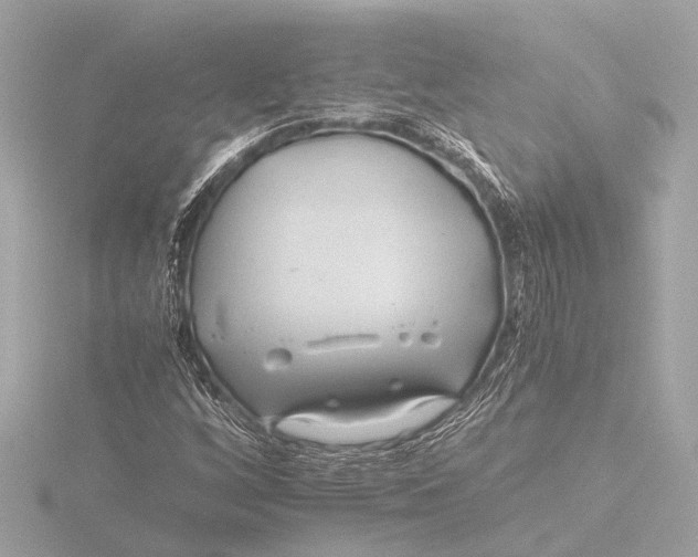 X0000116391256200912231102