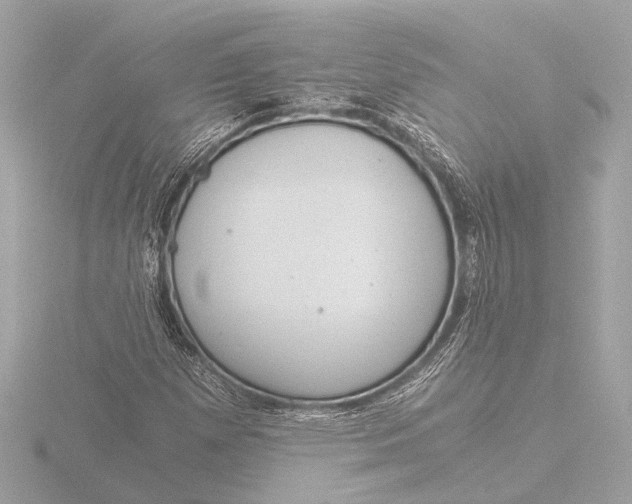 X0000116391257200912231102