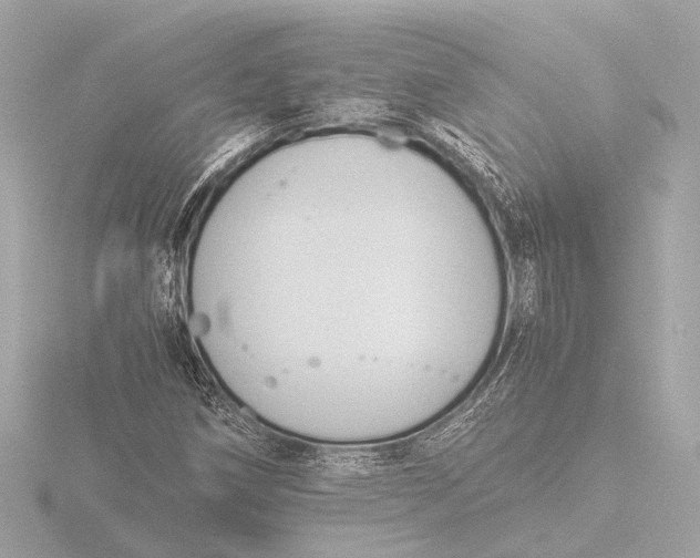 X0000116391258200912231102